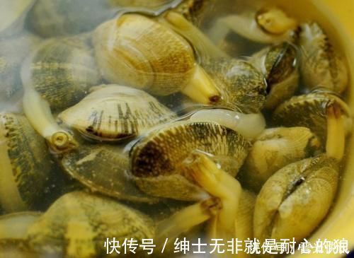 花蛤|吃花蛤时满嘴沙子?用这个办法,花蛤使劲吐沙,在家吃一样过瘾