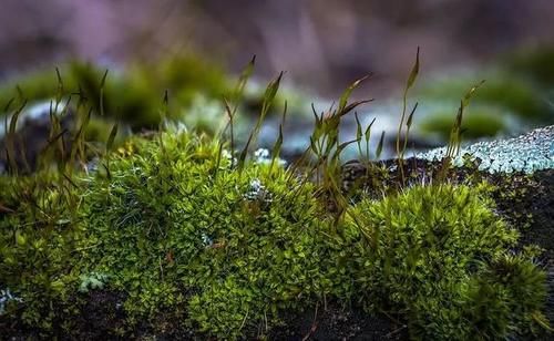 为什么要说“春捂秋冻”?