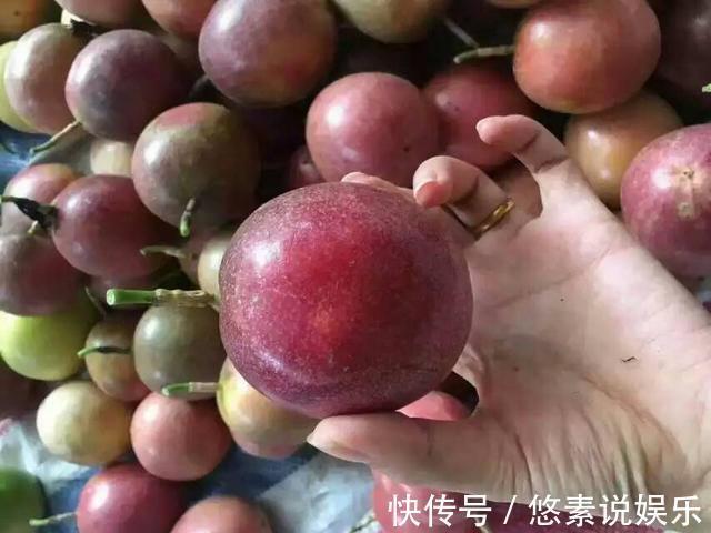 超纤维|这是女人30以后的美容果,每天一个,护眼、抗衰老、提高免疫力