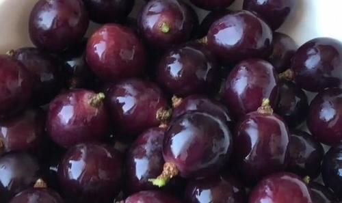 青葡萄|洗葡萄时,有人用盐,有人用面!老果农:都不对,教您最正确做法