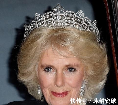 查尔斯 卡米拉的蛇形项链20年前做情人时查尔斯送的,蛇蝎气质一目了然