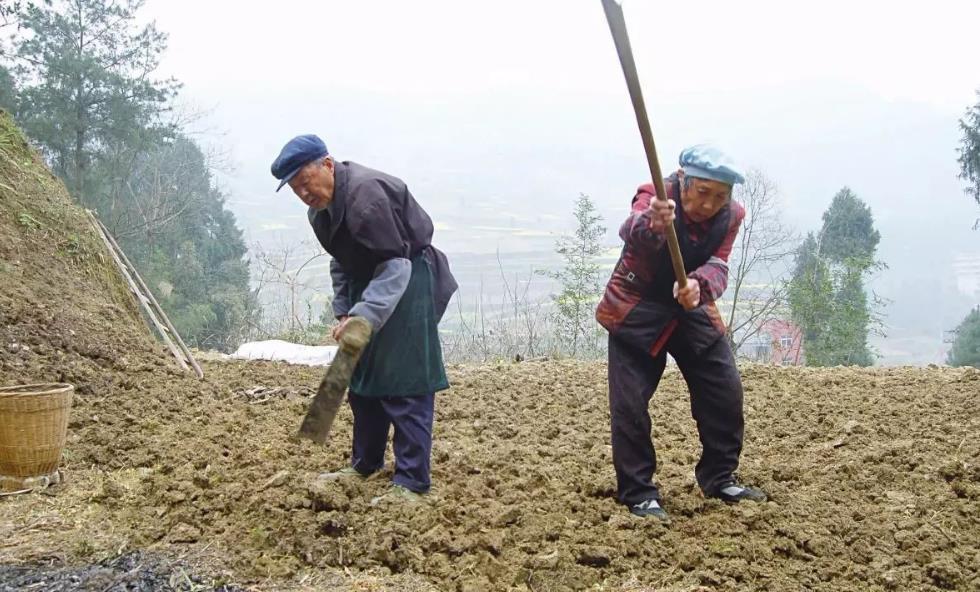 房价上涨|儿子五年攒二十万，父母用来在老家盖房，如今一家人悔不当初