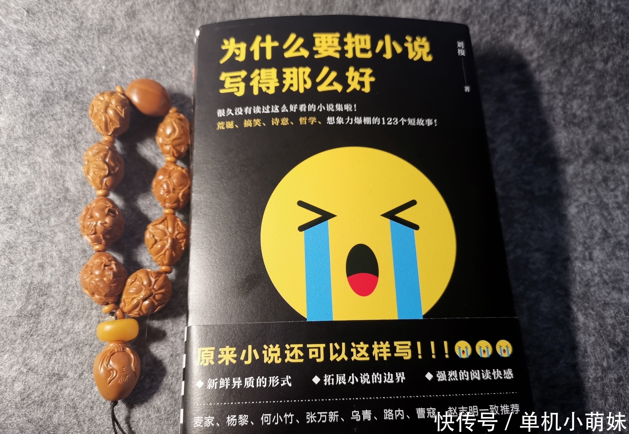 小说家|最自大的天才小说家写了一本最自大的小说