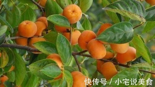 滋补|很有营养的三种食物,滋补身体,提高人体免疫力