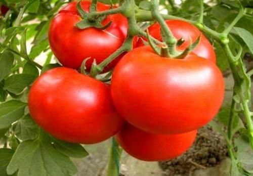 花生|长寿老人爱吃三种食物,排毒养颜、延缓衰老,身体棒棒哒!