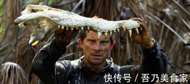 英國空軍|荒野求生 曾被評為站在食物鏈頂端的貝爺, 如今過得怎么樣了!