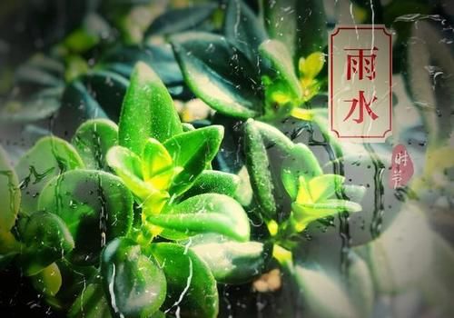雨水节气后，记得常吃5多做2，缓解春燥，全家安稳过“倒春寒”