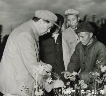 出手|他当着主席面出手打主席警卫员,事后毛主席和警卫员谈这样一番话