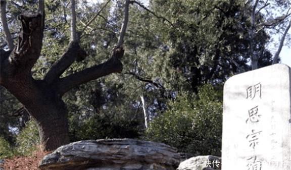 崇祯|崇祯皇帝上吊的那棵树, 算起来已经300多岁了, 如今还在吗！