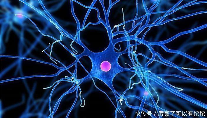 青蛙|老年痴呆测试图上有只青蛙,若能在30秒内找到,说明大脑很年轻