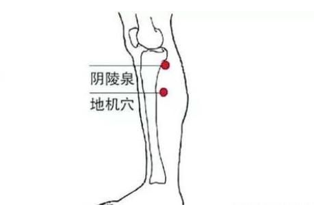 湿气|别忙着祛湿呐,先分清寒湿和湿热再说