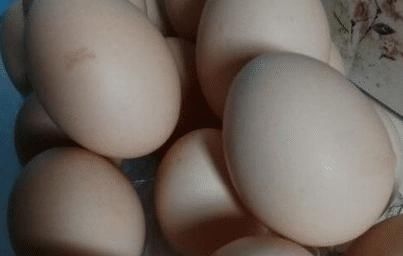 保存鸡蛋放冰箱就错了!老农教你2个土方法,放再久不变质,实用