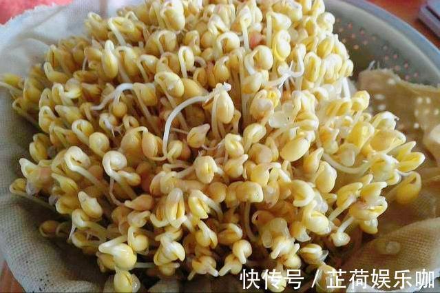黄豆|教你在家发豆芽，不用土壤不用肥料，3天就能吃，脆嫩营养又卫生