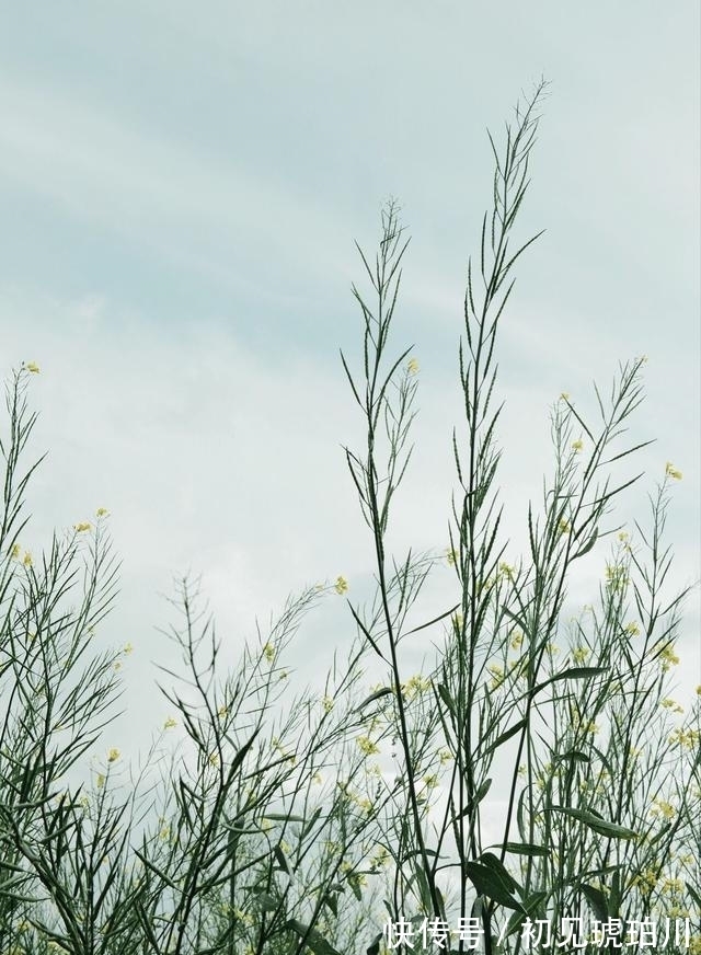 风雨|风雨兼程，再见旧爱，泪盈眼眶，挽回爱情，余生一生相守