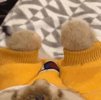 国货护肤：以前的我你爱理不理，现在的我你高攀不起！