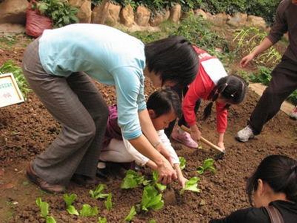 曾奇峰|爸爸感冒打吊瓶,女儿陪护险些哭晕,网友羡慕别人家的“貂皮”