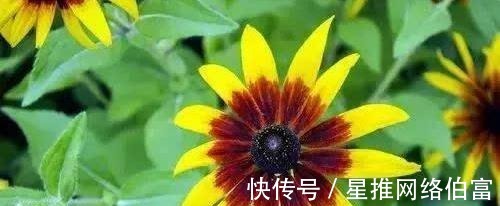 无恒$古今民间谚语大全，老祖宗太智慧了！值得收藏