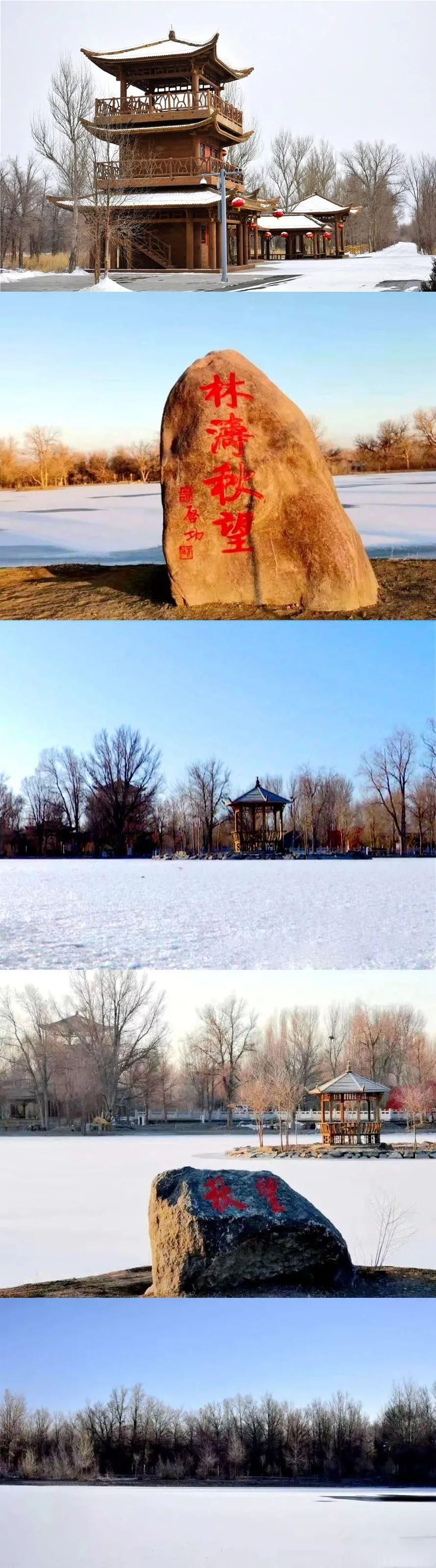 解锁|下雪了！胡杨林解锁雪景模式，太美了！