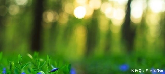 宋诗里最不容错过的一首诗,律回岁晚冰霜少,春到人间草木知!