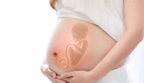 宝宝|智商高的胎儿,在孕妇肚子就有这3个特征,中一个,你就偷着乐吧