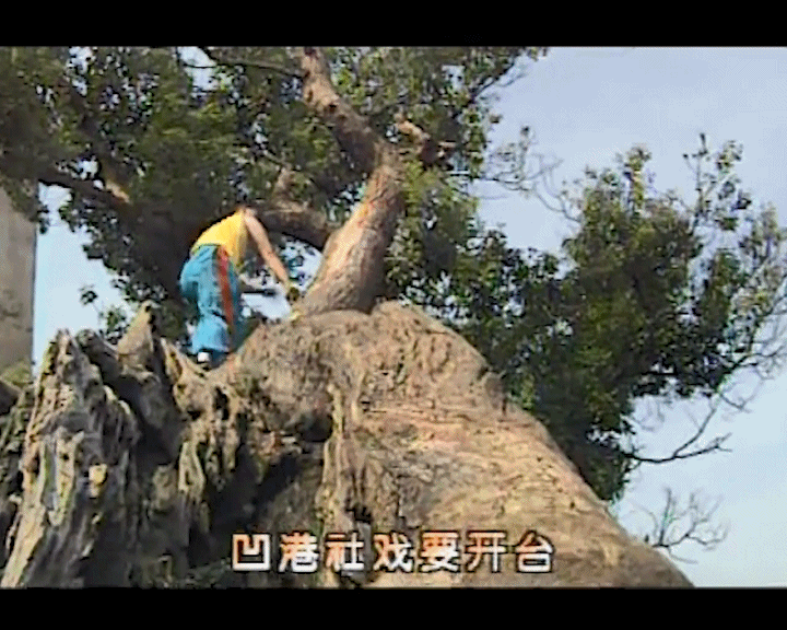 越牛新闻怀旧巨献！重温那些年的绍兴春晚和名场面