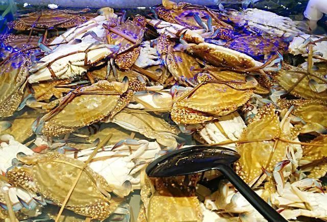 老板|海鲜市场3种“最坑”的海鲜,价格便宜外表诱人,老板我都不吃