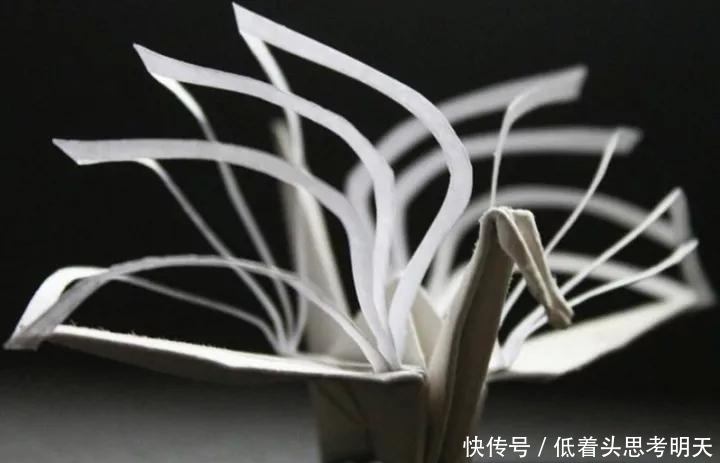 重样|每天折一只千纸鹤,他坚持了1000天不重样,女友被感动到梨花带雨