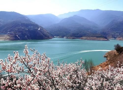 走！去崆峒山看桃花……