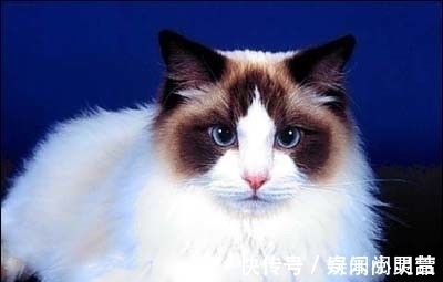 冷知识|21个冷知识,稀奇古怪,有些是你没听说过的有趣知识