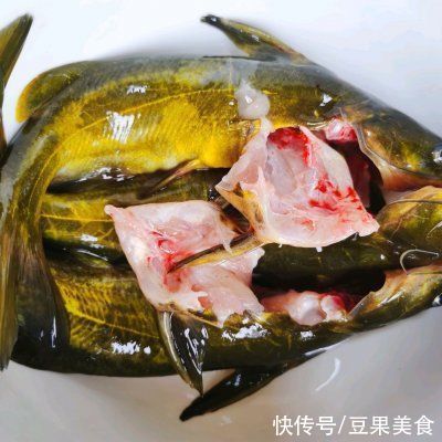 高压黄骨鱼是“减肥王”!连吃1周竟然瘦了6斤