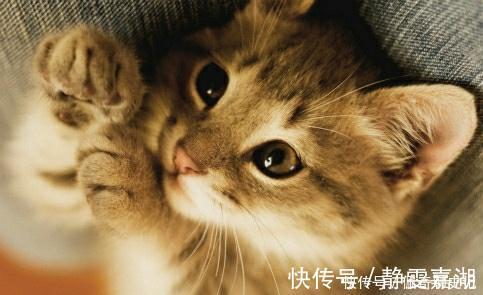 |幽默笑话:陪死党去相亲,双方一见面,我和死党都愣住