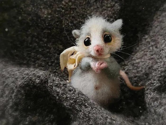 艺术家@逼真到极致的毛毡作品,毛茸茸的小动物,把心都融化了