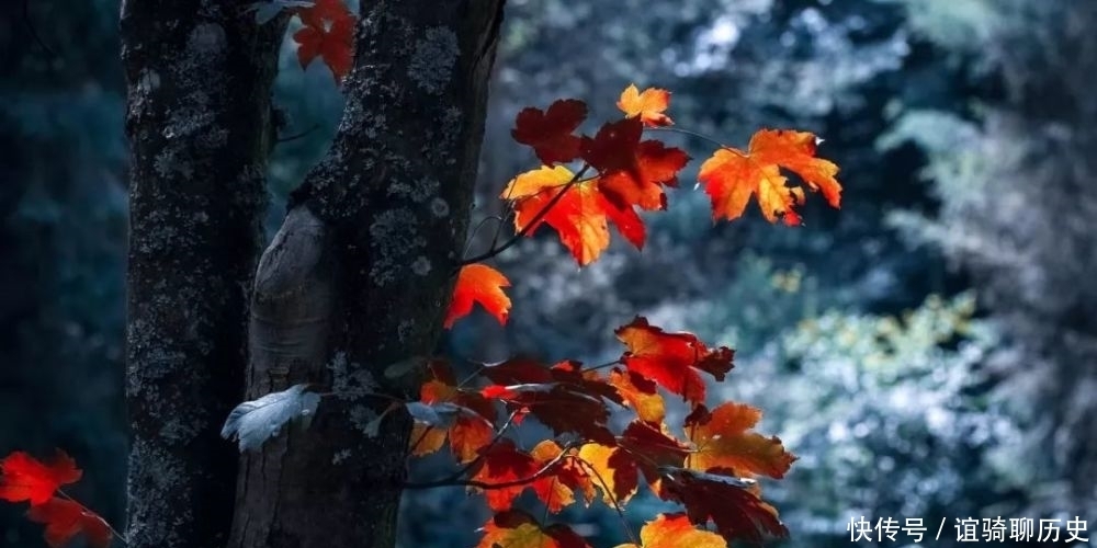 懂得拒绝,才能活得不纠结