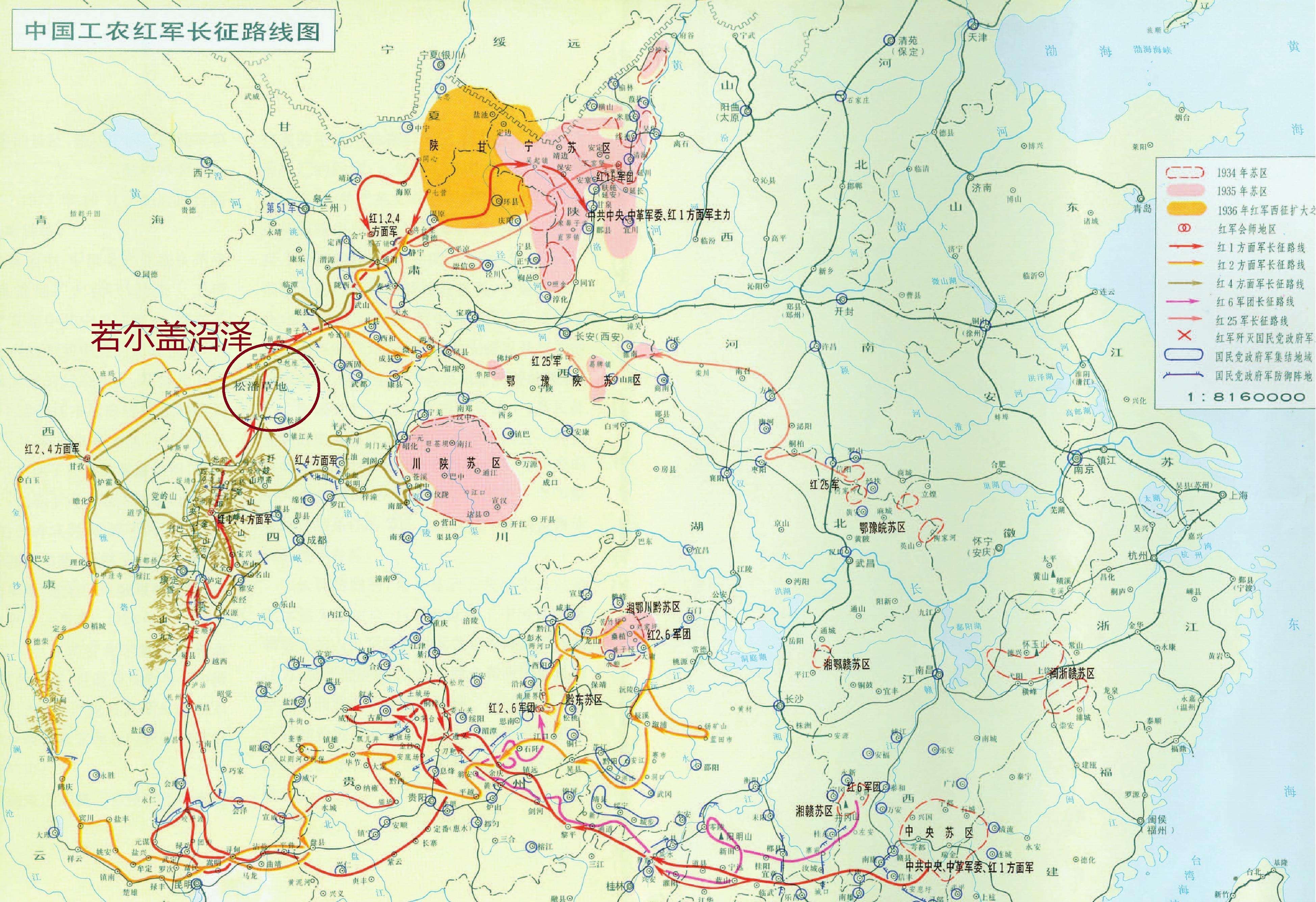 位于青藏高原的“若尔盖沼泽”，是我国最大的泥炭沼泽分布区