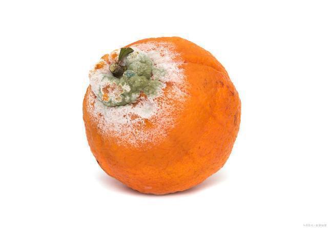 祸首|养肝的冠军,不是枸杞,也不是胡萝卜,若你爱吃,肝硬化不来扰