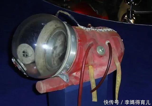 宇航员 第一个登上太空的宇航员,不是加加林,而是一只狗……