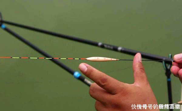 顿口|浮漂有动作，提竿却不中鱼，这种情况该如何应对