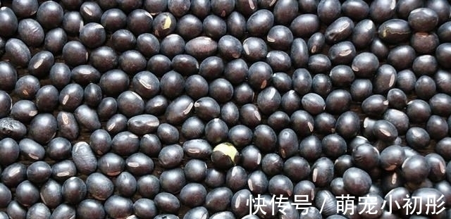 黑豆豆浆|50岁姑姑:坚持每天这样吃点黑豆,越吃越精神,简单一做好香啊