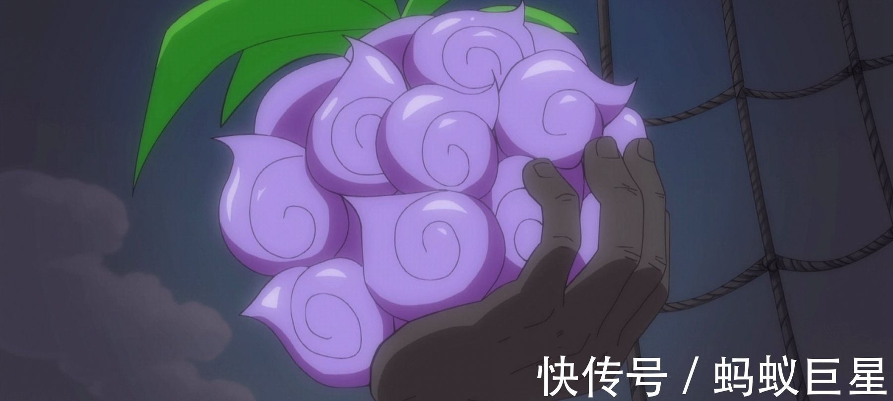 蝙蝠|恶魔之树最顶端的三颗果实是什么?恶魔果实的分类有什么?