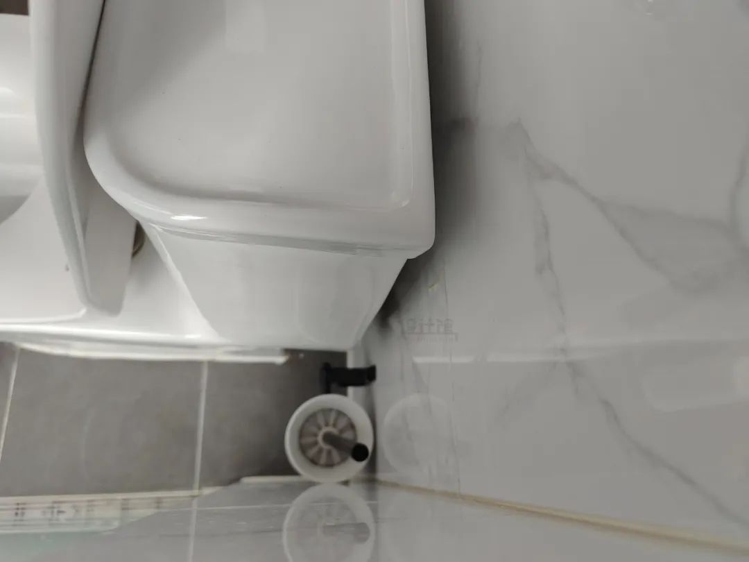 如厕|家里有两个卫生间,要不要装个蹲坑?