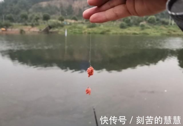 冬天降温鱼口轻，怎么钓才最好进来划重点