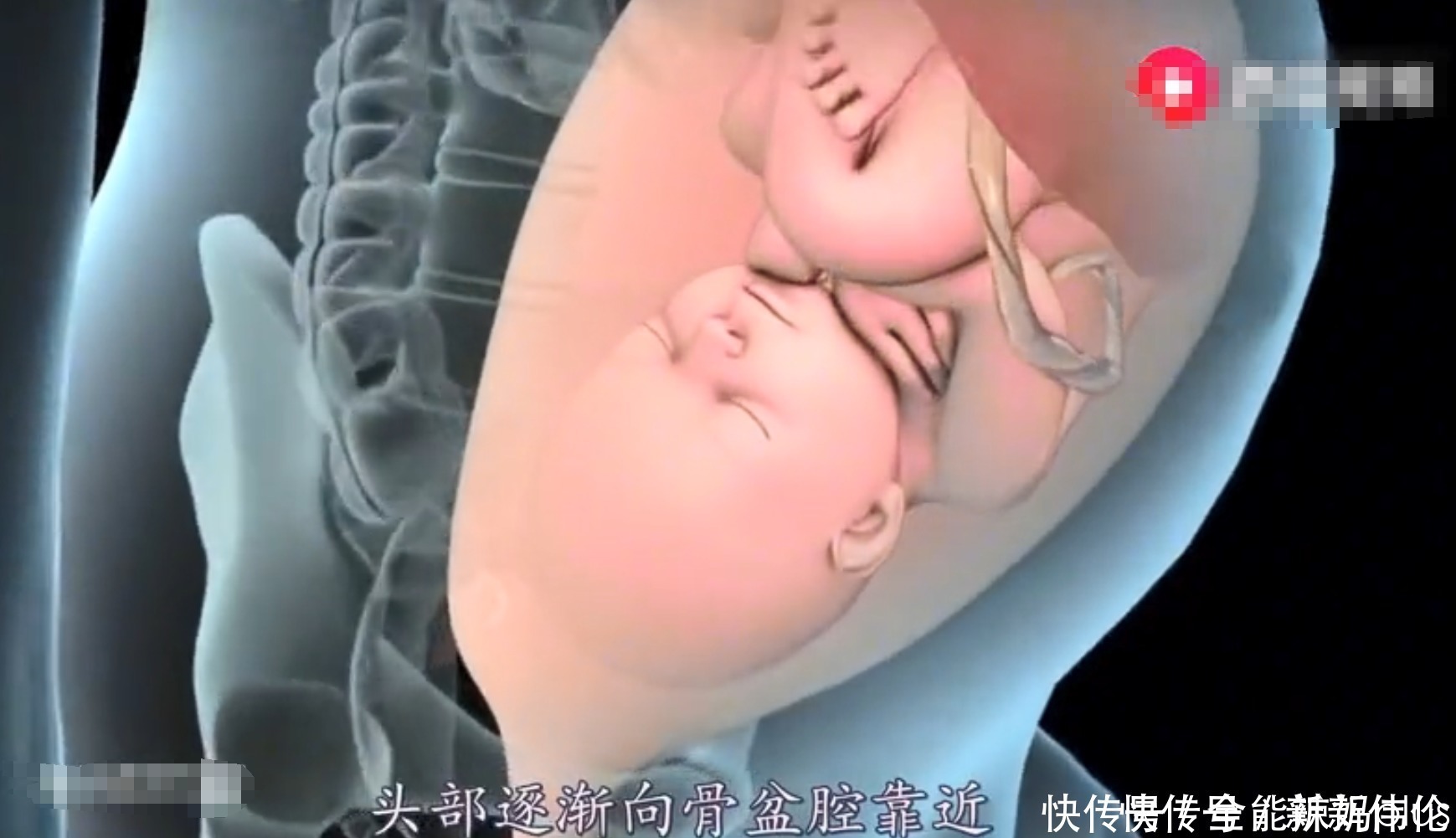 见红|顺产宝妈要经历多少“崩溃”时刻？4张图带你还原生命奇迹