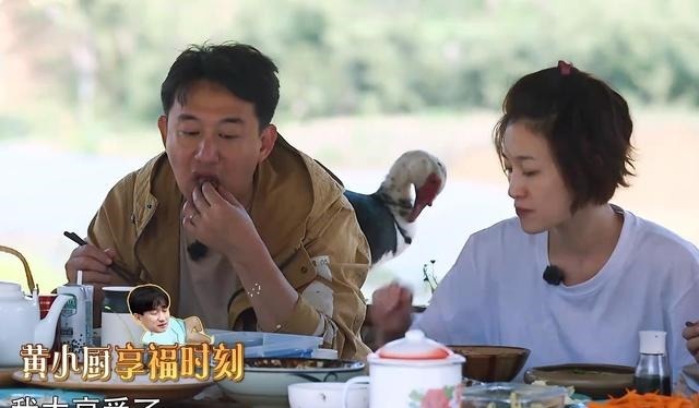 张艺兴|《向往5》终于宠幸黄磊了，连续帮他实现两个愿望，不再是工具人