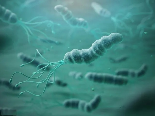 咳嗽|发烧、咳嗽、腹泻、失眠……都是它的错！