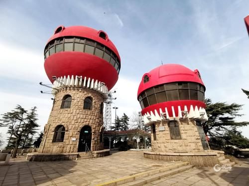 老年|留青过年，这些景区、景点有优惠！还有这些免费！