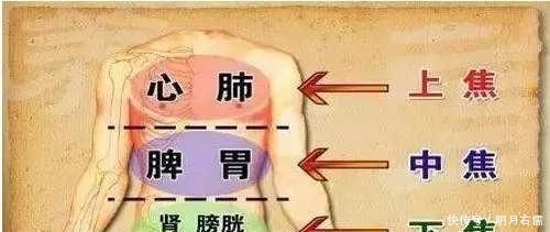 把这里的“硬结”揉开，中焦打通了，很多病就好了