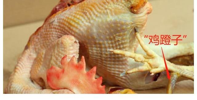 花椒|椒麻鸡怎么做？