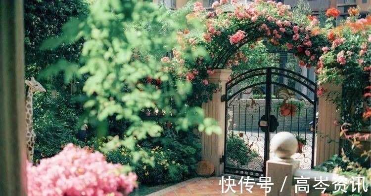 小区|坐拥270㎡大院子,她如何用五年时间,打造成了全小区最美的花园