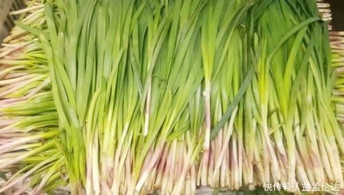 头茬|买韭菜，白根和紫根韭菜有啥区别？看完才知道差别，以后别瞎买了