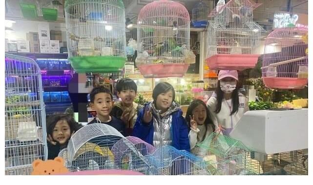 《爸爸5》重聚！吳尊一家四口回國，小泡芙變化大，嗯哼遺憾缺席